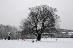 Brockwell Park in the Snow Series